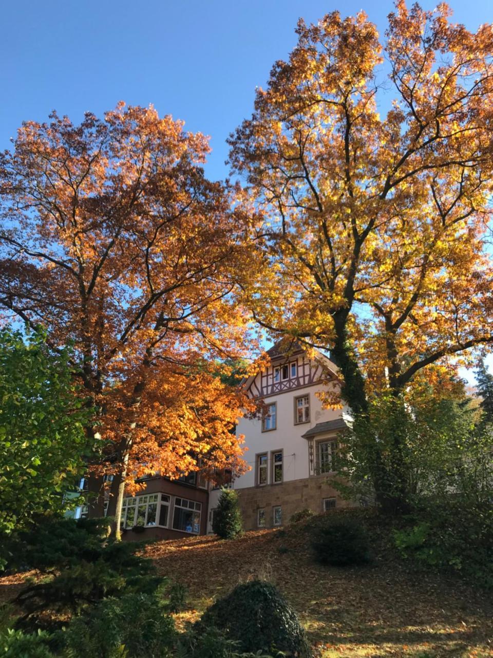 Waldhotel Бад-Мюнстерайфель Экстерьер фото